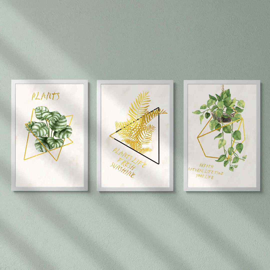 Plants Wall Frame