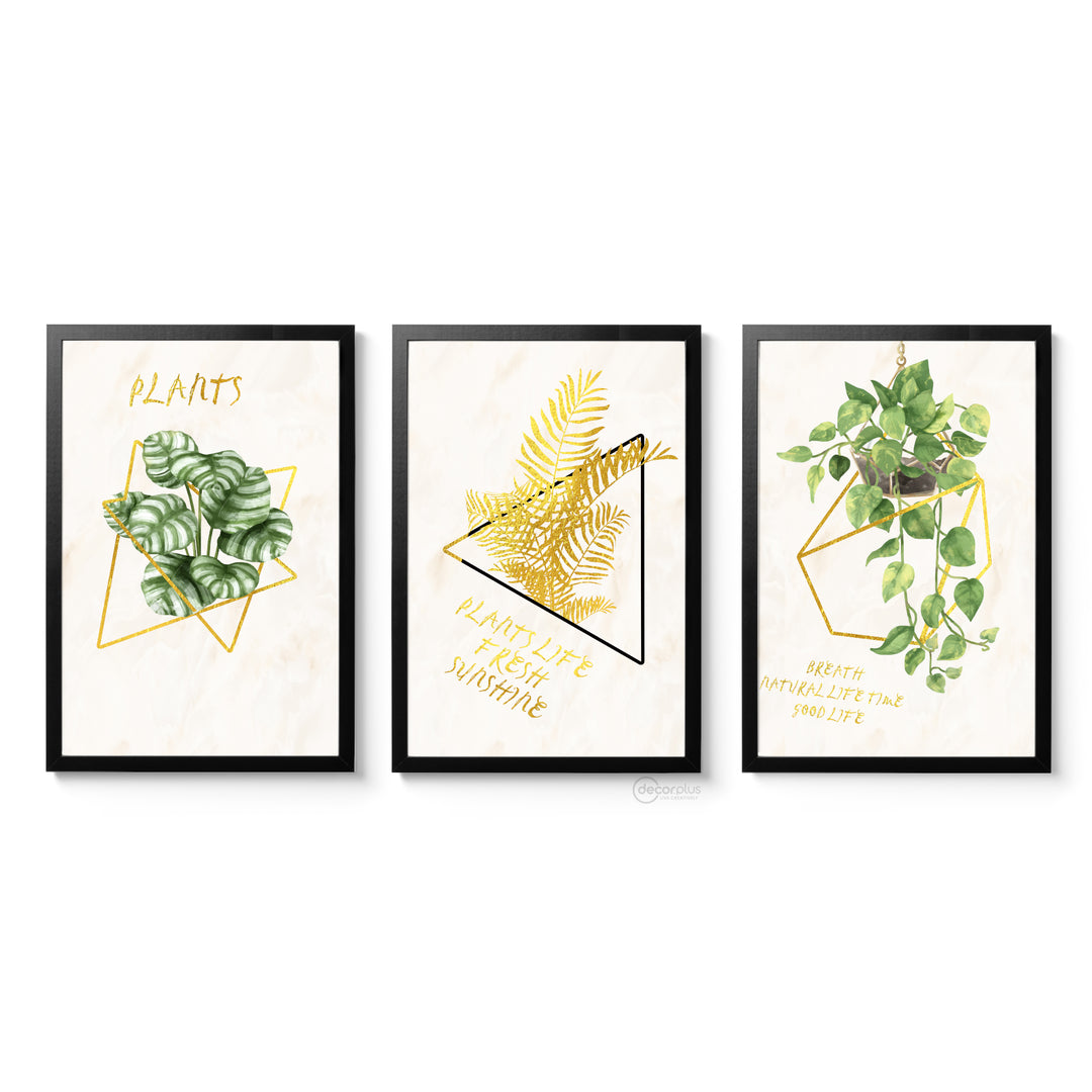 Plants Wall Frame