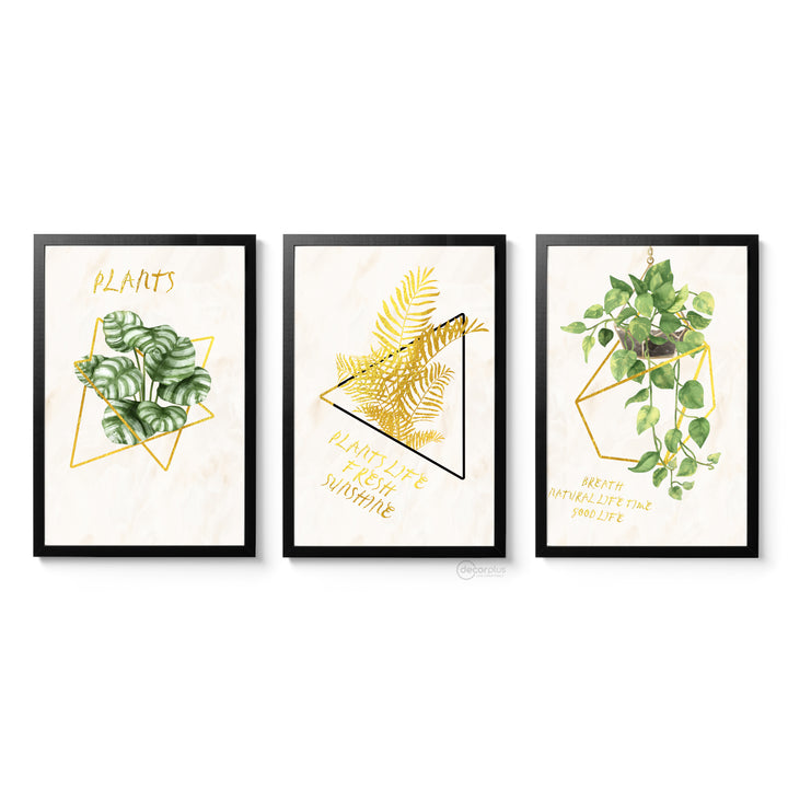 Plants Wall Frame