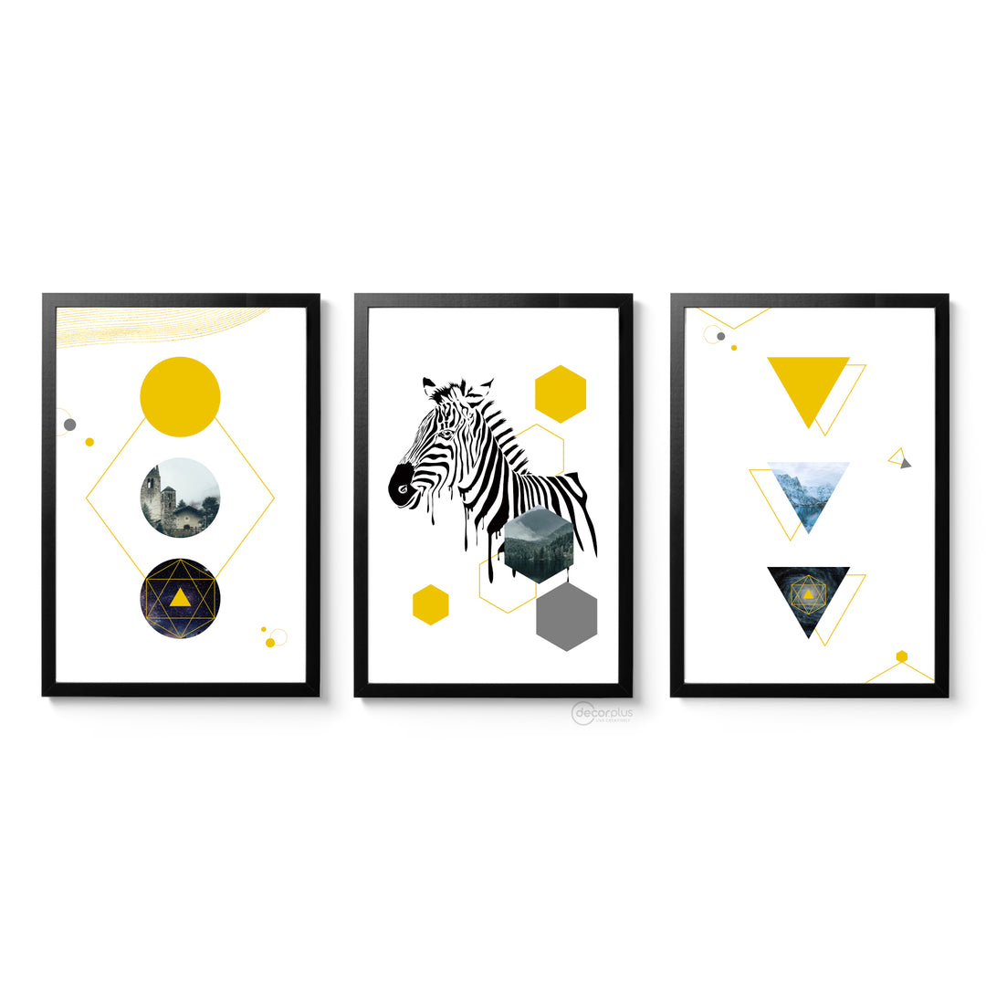 Geometrical Zebra Set